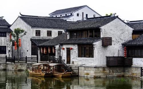 小鸡要回家